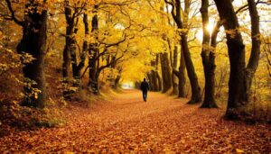 Laut Studie: Wer lieber allein spazieren geht, besitzt oft diese 8 besonderen Charakterzüge